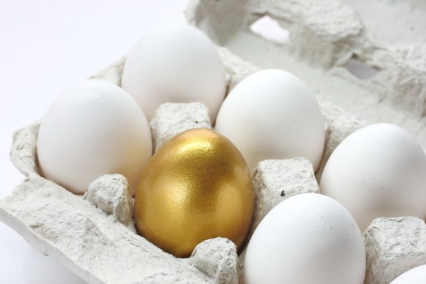 Photo of golden egg in carton among white eggs